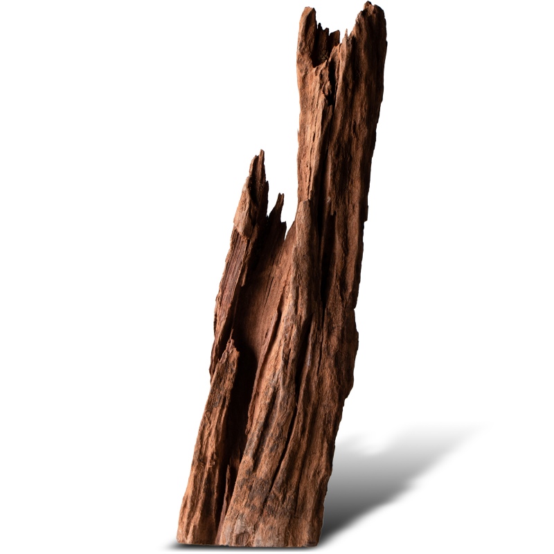 Philippines Classic Driftwood - S size